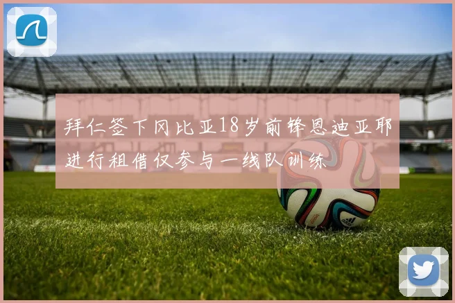 拜仁签下冈比亚18岁前锋恩迪亚耶进行租借仅参与一线队训练