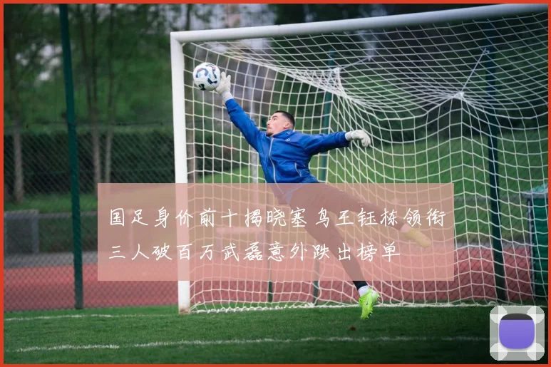 国足身价前十揭晓塞鸟王钰栋领衔三人破百万武磊意外跌出榜单