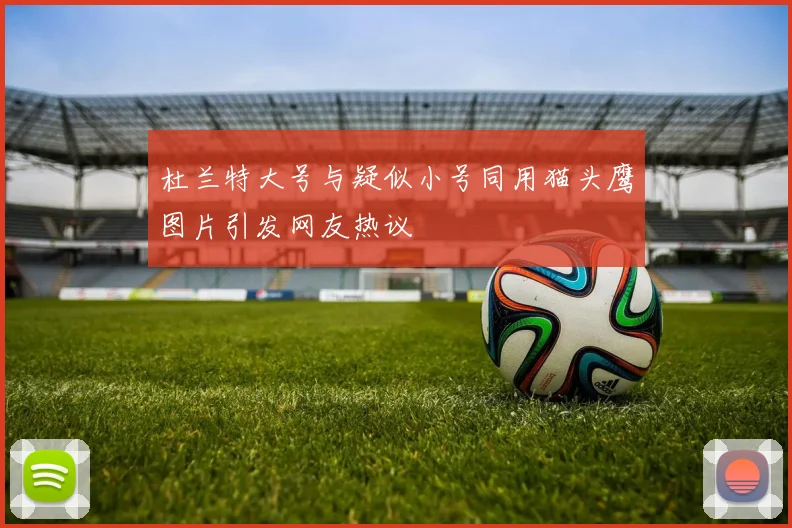 杜兰特大号与疑似小号同用猫头鹰图片引发网友热议