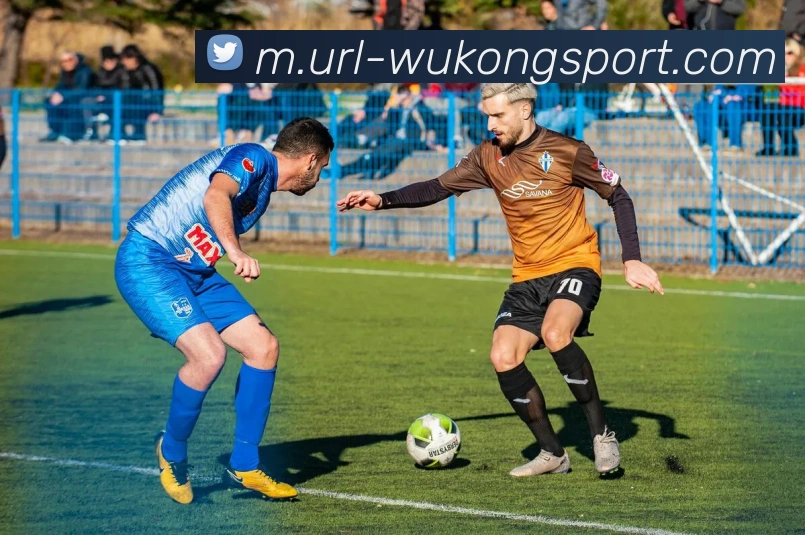 悟空体育平台生态图