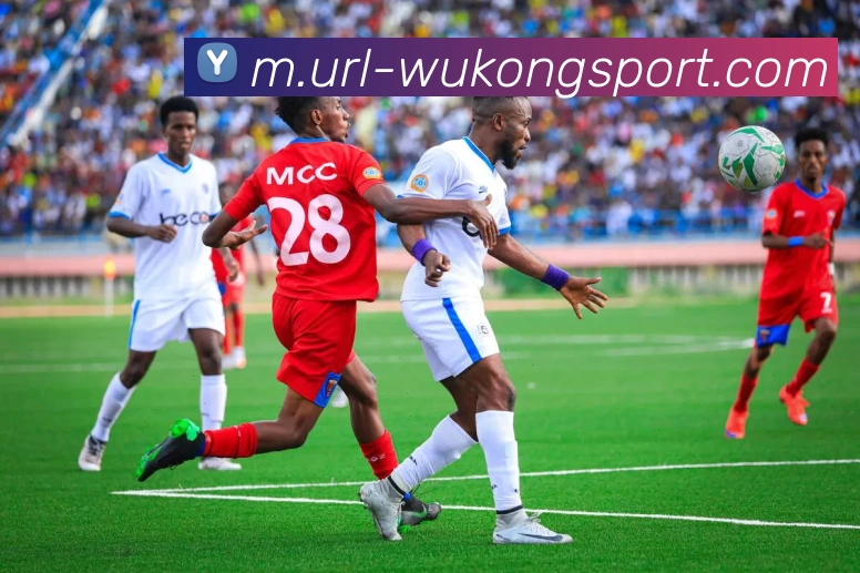 悟空体育APP 封面图