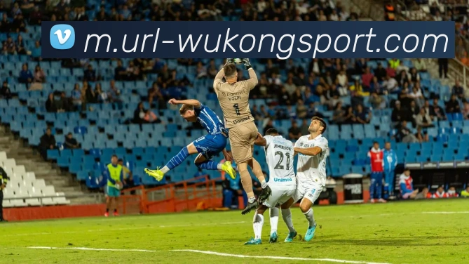 数据防护可视化